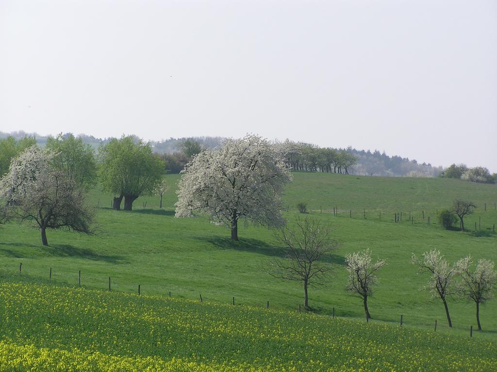 Rangen La Ferme De Marie 아파트 외부 사진